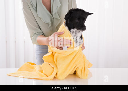 In der Nähe von Frau mit Handtuch trocknen Ihren Hund zu Hause Stockfoto