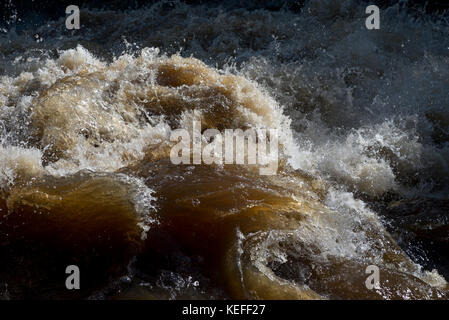 Wässriger Auszug aus dem Fluß Ure in vollem Durchfluss nach starkem Regen an Aysgarth in Wensleydale, Yorkshire Dales, England. Stockfoto