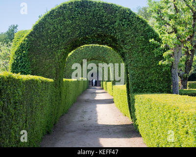 Geschützter Fußweg im Mateus Palast, Portugal 2 Stockfoto