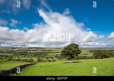 Die schöne Landschaft in der nähe von Aysgarth in den Yorkshire Dales, England an einem sonnigen Tag im September. Stockfoto