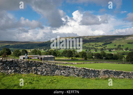Trockenmauern und landwirtschaftlichen Gebäuden in der Nähe von Thornton Rost in Wensleydale, Yorkshire Dales, England. Stockfoto