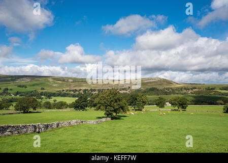 Die schöne Landschaft in der nähe von Aysgarth in Wensleydale, Yorkshire Dales, England. Blick über das Tal von Thornton Rost zu Efeu Narbe. Stockfoto