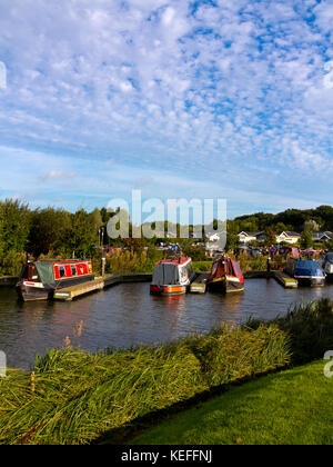 Boote an Mercia Marina eine große landeinwärts auf der Trent und Mersey Canal in der Nähe von Lee in South Derbyshire England Großbritannien marina Stockfoto