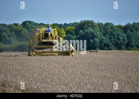 Vintage New Holland open cabyellow Mähdrescher in Aktion auf der Farm, Stockfoto