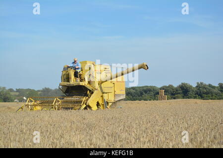 Vintage New Holland open cabyellow Mähdrescher in Aktion auf der Farm, Stockfoto