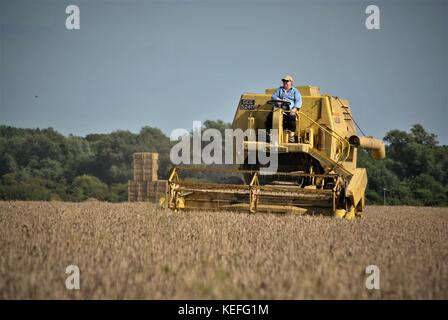 Alte offene Kabine gelb New Holland Mähdrescher Erntegut auf einem englischen Farm in 2017 Stockfoto