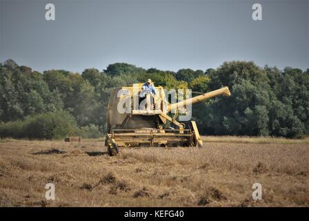 Alte offene Kabine gelb New Holland Mähdrescher Erntegut auf einem englischen Farm in 2017 Stockfoto
