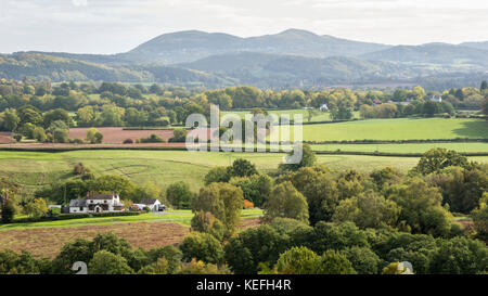 Eine Ansicht von Bringsty Gemeinsamen auf die Malvern Hills, Worcestershire, England, Großbritannien Stockfoto