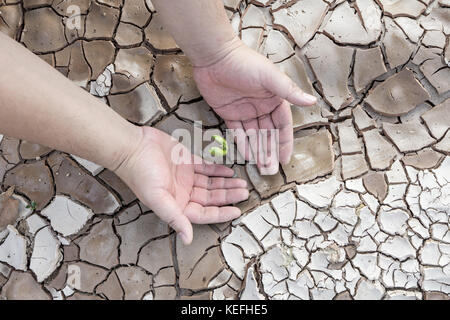 Händen verteidigen Grüner Baum sprießen auf Risse im Boden, Erhaltung Konzept Stockfoto