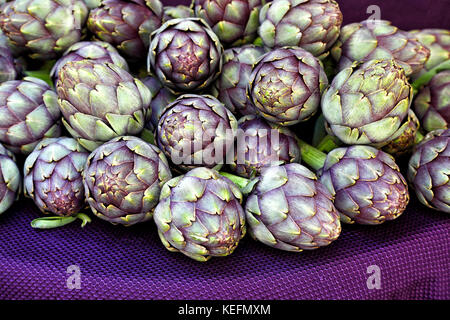 Artischocken Stockfoto