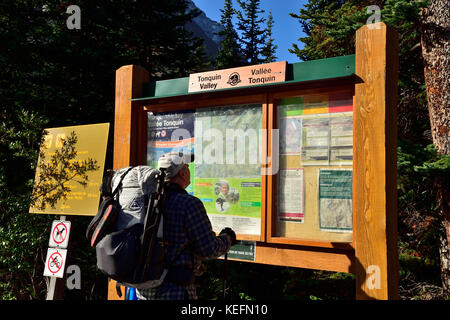 Ein erwachsenes Männchen Wanderer Prüfen der Informationen Karte, bevor Sie auf eine Wanderung zu den remote Tonquin Valley in Jasper National Park, Alberta, Kanada. Stockfoto