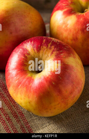 Raw roten Bio süß Tango gala Äpfel bereit zu essen Stockfoto