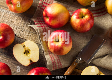 Raw roten Bio süß Tango gala Äpfel bereit zu essen Stockfoto