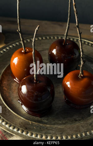 Gourmet süße Lust auf Süßigkeiten Äpfel für Halloween Stockfoto