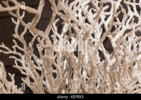 Handgefertigte künstliche weiss verschneiten Zweig closeup Stockfoto