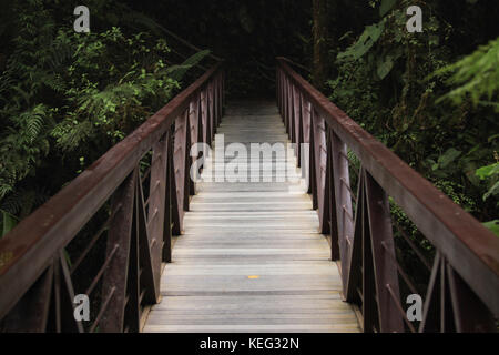 Perspective wooden bridge leading into the deep dark forest in Costa Rica Stockfoto