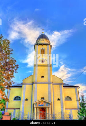 Kathedrale der Entschlafung der Gottesgebärerin in mukacheve, transcarpatia, Ukraine Stockfoto