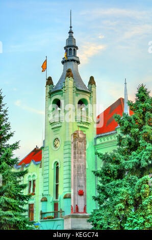 Rathaus von mukachevo in Gebiet Oblast, Ukraine Stockfoto