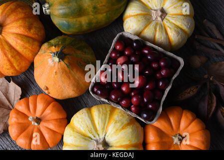 Herbst noch Leben: Blick von oben auf ein Sortiment von Herbst dekorative Kürbisse, Zucchini und Kürbisse, die um einen Korb mit frischen Preiselbeeren. Stockfoto