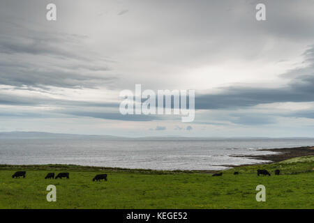 Ländliche Landschaften in caithness Stockfoto