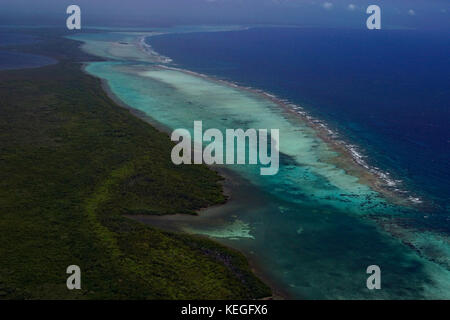 Luftaufnahme von turneffe Atoll (Turneffe Island), Reef und Mangroven, Belize, Mittelamerika (Karibik) Stockfoto