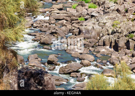 Glatte Felsen von den South Esk River in Cataract Gorge erodiert - launceston, Tasmanien, Australien Stockfoto