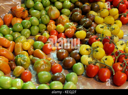 Große Auswahl an frischen Bio Tomaten auf dem Markt verkauft. Stockfoto