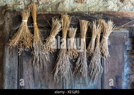 Traditionelle baskische Tür getrocknetem Lavendel Gräser Eiche alt Tür in Biskaia Baskenland, Spanien Stockfoto