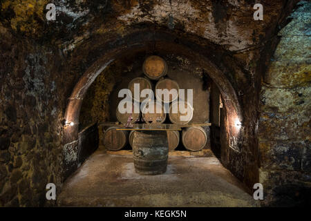 Eichenfässern Rioja-Wein in Carlos San Pedro Bodega Winery in mittelalterlichen Stadt Laguardia im Baskenland, Spanien Stockfoto