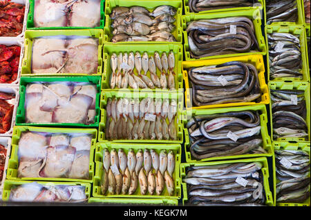 Versteigerung von fangfrischen Fisch am Confradia de Pescadores de Luarca, Bund von Luarca Fischer, Puerto Luarca, Spanien Stockfoto