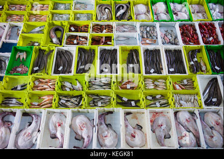 Fangfrischen Fisch am Confradia de Pescadores de Luarca, Bund von Luarca Fischer, bei Puerto Luarca in Asturien, Spanien Stockfoto