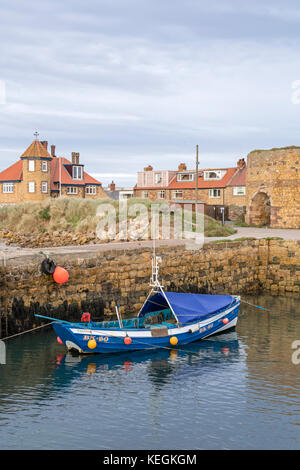 Ein traditionelles Coble Fischerboot im Beadnell Hafen auf der Northumbrian Küste, Northumberland, England, Großbritannien Stockfoto