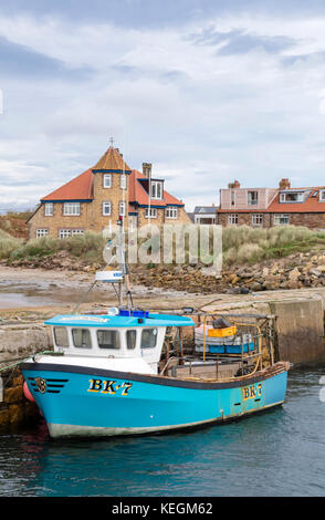 Die northumbrian Hafen von Beadnell, Northumberland, England, Großbritannien Stockfoto