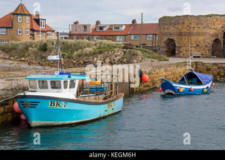 Die northumbrian Hafen von Beadnell, Northumberland, England, Großbritannien Stockfoto