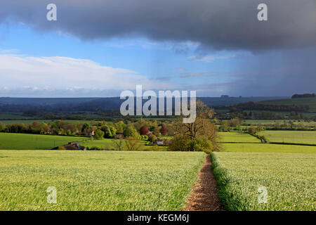 Ein Blick auf die WYLYE valley Corton in Wiltshire. Stockfoto