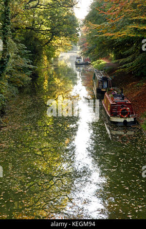 Lastkähne günstig auf dem Kennet und Avon Kanal in der Nähe von pewsey in Wiltshire. Stockfoto