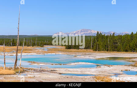 Norris Geyser Basin im Yellowstone National Park, USA Stockfoto