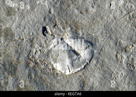 Serras de Aire e candeeiros, war eine Küstenebene etwa 170-166 Millionen Jahren (mittlerer Jura). Stockfoto