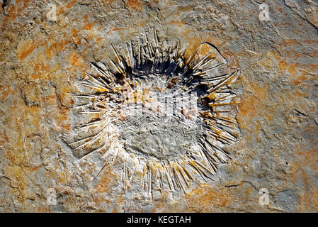 Serras de Aire e candeeiros, war eine Küstenebene etwa 170-166 Millionen Jahren (mittlerer Jura). Stockfoto