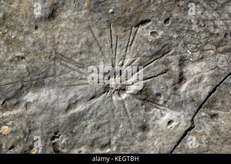 Serras de Aire e candeeiros, war eine Küstenebene etwa 170-166 Millionen Jahren (mittlerer Jura). Stockfoto