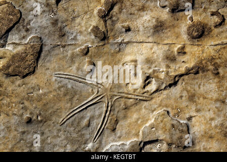 Serras de Aire e candeeiros, war eine Küstenebene etwa 170-166 Millionen Jahren (mittlerer Jura). Stockfoto