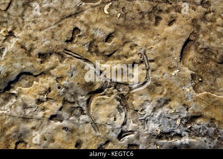 Serras de Aire e candeeiros, war eine Küstenebene etwa 170-166 Millionen Jahren (mittlerer Jura). Stockfoto