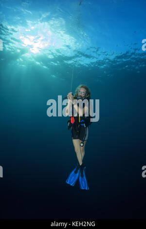 Weibliche Taucher für einen Sicherheitsstopp in blauem Wasser gehängt Stockfoto