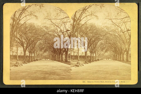 Die Beacon Street Mall, Boston Common, Masse, durch Kilburn, B. W. (Benjamin West), 1827 1909 Stockfoto