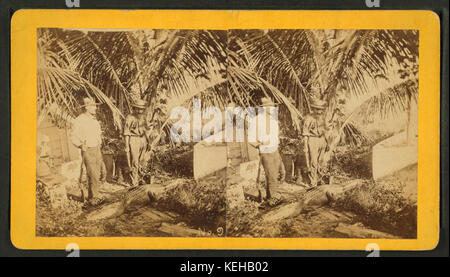 Eine stereoskopische Ansicht eines „Langnasen-Monsters“ aus der Sammlung von Robert N. Dennis, die ein Bild dieses einzigartigen Themas erfasst, das wahrscheinlich im Kontext der visuellen Unterhaltung des 19. Jahrhunderts präsentiert wird. Stockfoto