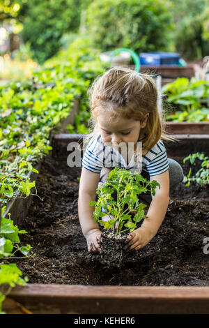 Kaukasische Mädchen Pflanzen im Garten Stockfoto