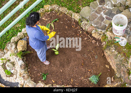 Garten Ideen für Ihren eigenen Stein Zen Garten Stockfoto