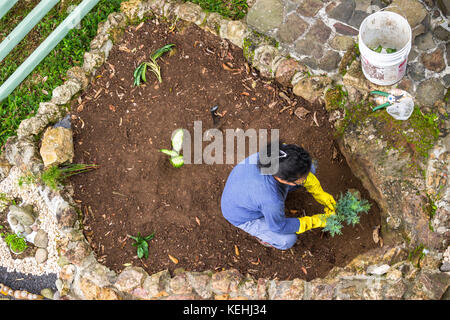 Garten Ideen für Ihren eigenen Stein Zen Garten Stockfoto