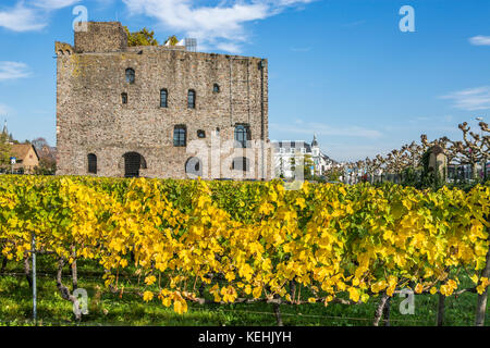 Schloss Brömserburg in Rüdesheim am Rhein, Weinbaustadt in Deutschland Stockfoto