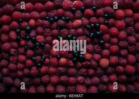 Himbeeren und Heidelbeeren Stockfoto